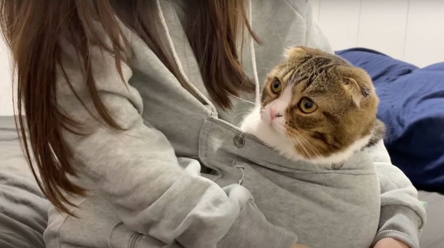 ママさんとカンガルーになった親子猫さん♪