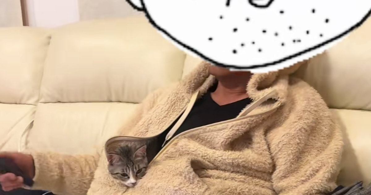 『自称猫アレルギーの父』→保護猫を迎えた結果…想像もしなかった『まさかの光景』が16万再生「懐くべき人をわかってる」「あくまでも自称ｗ」