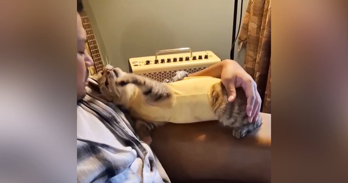 イチャイチャしていた"夫と猫"→撮影に成功した結果…思わず笑みがこぼれる光景に「本当に相思相愛」「何回も見ちゃった」と反響