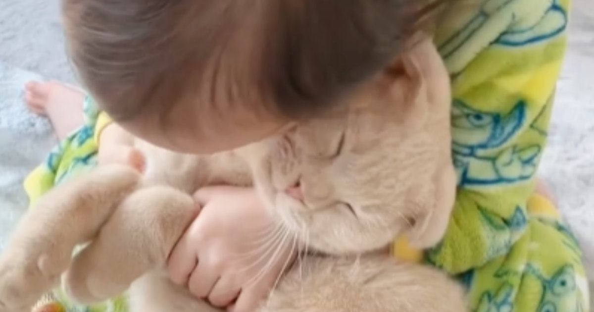 小さな女の子に『ぎゅっと抱きしめられる猫』→頬をすりすりされると…たまらなく可愛い『やり取りの様子』が164万再生「幸せをありがとう」