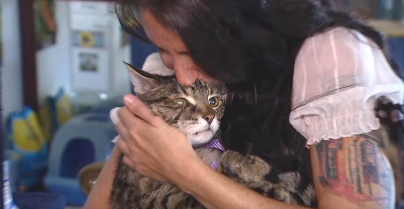安楽死を待つ老猫を『盗んだ』女性…その後の意外な結末と猫の行く末とは