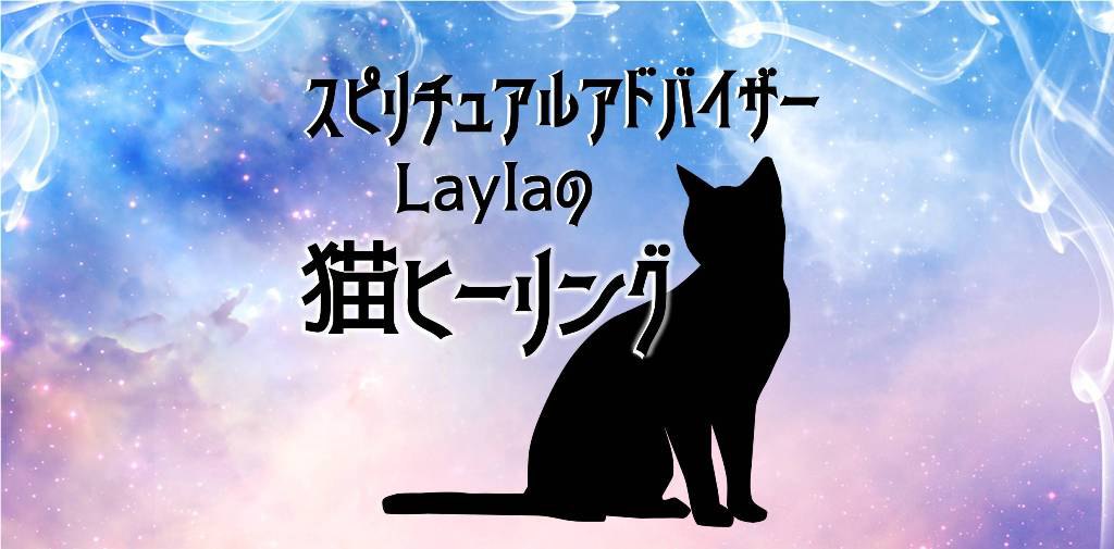 Laylaの猫占い キジトラ猫ちゃんは何を考えてる？飼い主へのメッセージ