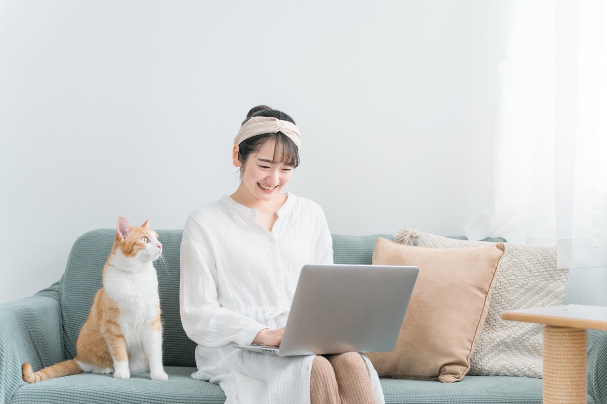猫が『粘着質』になってしまう飼い主のNG行動4選　何気ない習慣が悪影響を与えているかも…