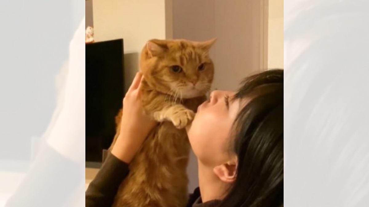 猫がお姉ちゃんから『キス』を迫られたら…悶絶必至なやり取りの様子が57万3000再生「めっちゃキュン」「私もしたい」の声