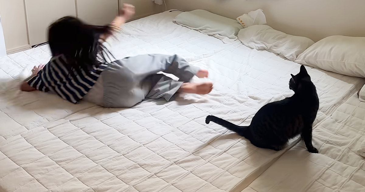 女の子が仲良しな猫の前で『倒れるフリ』をした結果…直後の『尊すぎる光景』が45万再生「大好きなのが伝わってくる」「笑顔になったｗ」