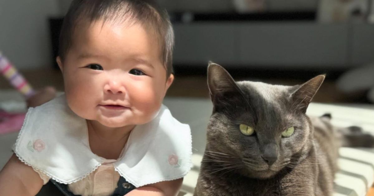 仲良く並んでいた『赤ちゃんと猫』を撮影すると…あまりにも尊い『奇跡的な瞬間』に「最高の2ショット」「自分のこと人間だと思ってそうw」