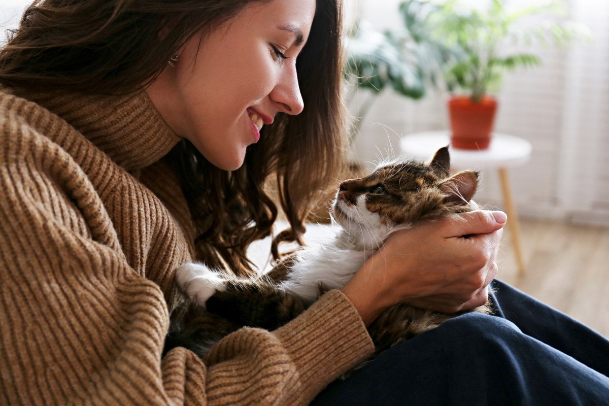 愛猫とケンカした後に『仲直りする4つの方法』嫌われないためのうまいフォロー術とは