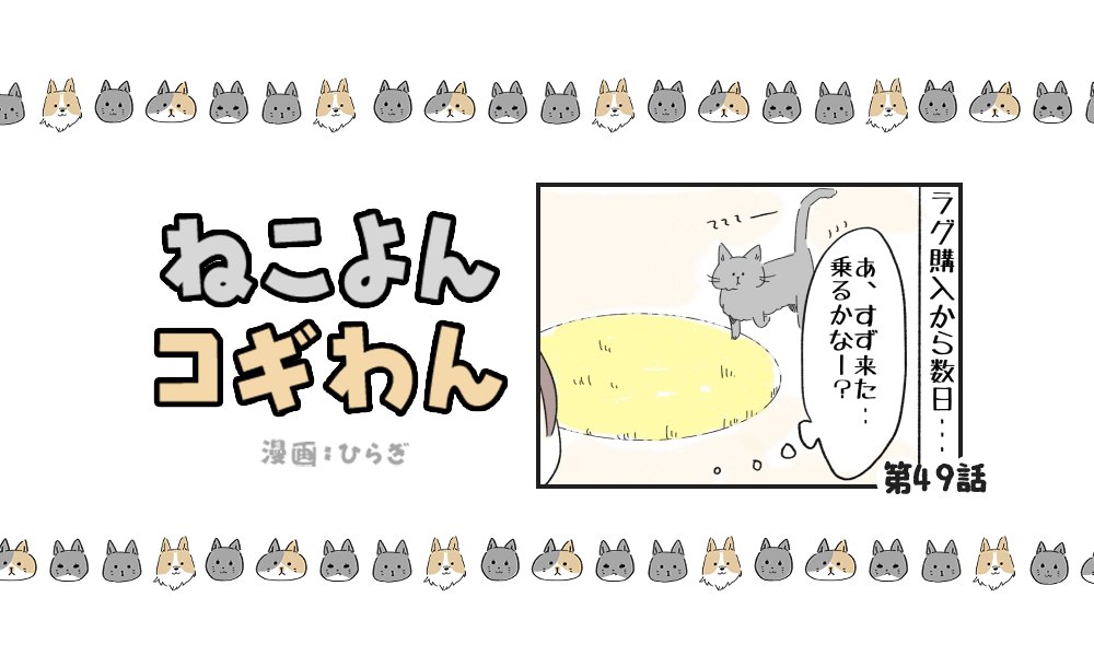 ねこよんコギわん【第49話】「助言を活かせるねこ」