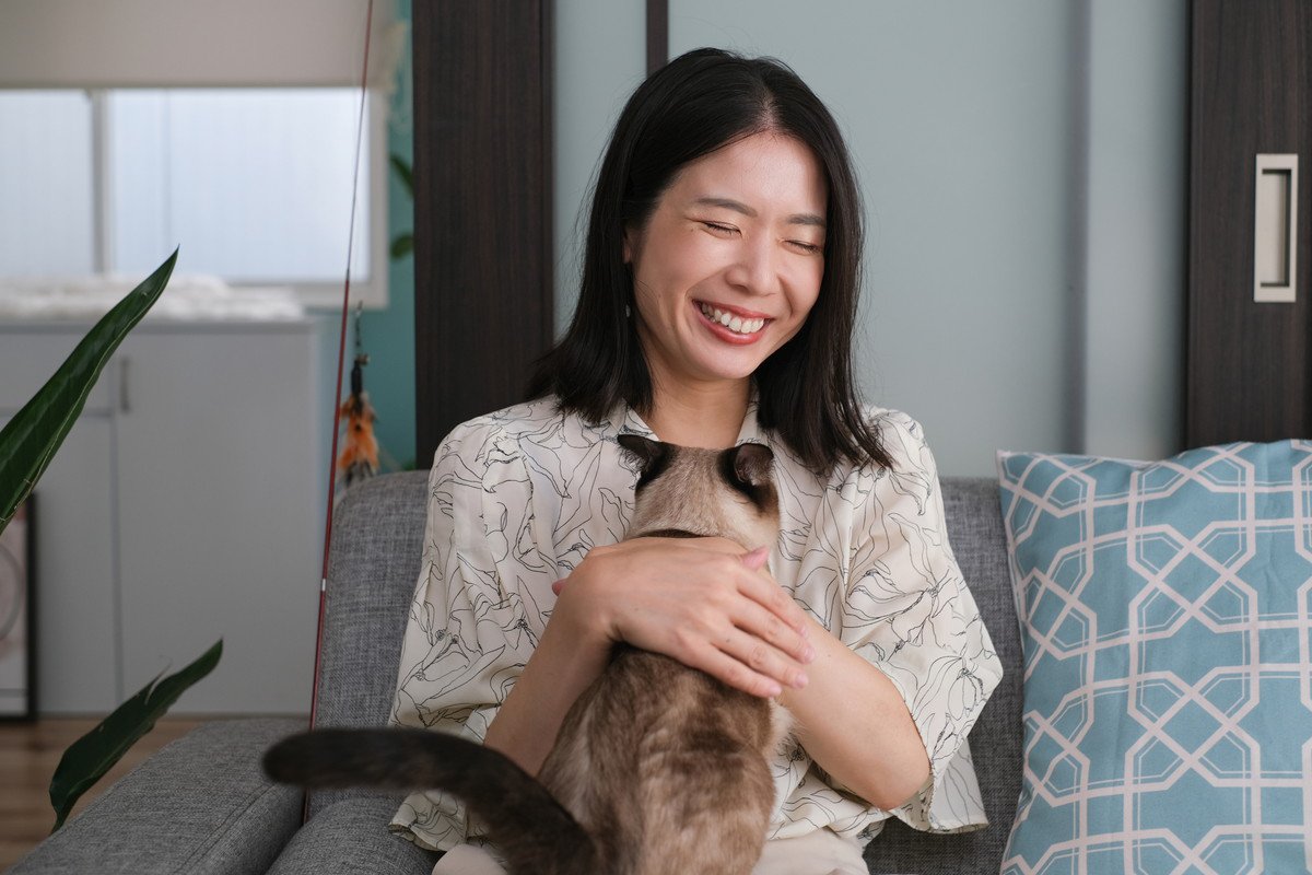 猫を『来客』に慣れさせるための5つのステップ　お客さんにも協力をしてもらうなど、工夫を凝らして