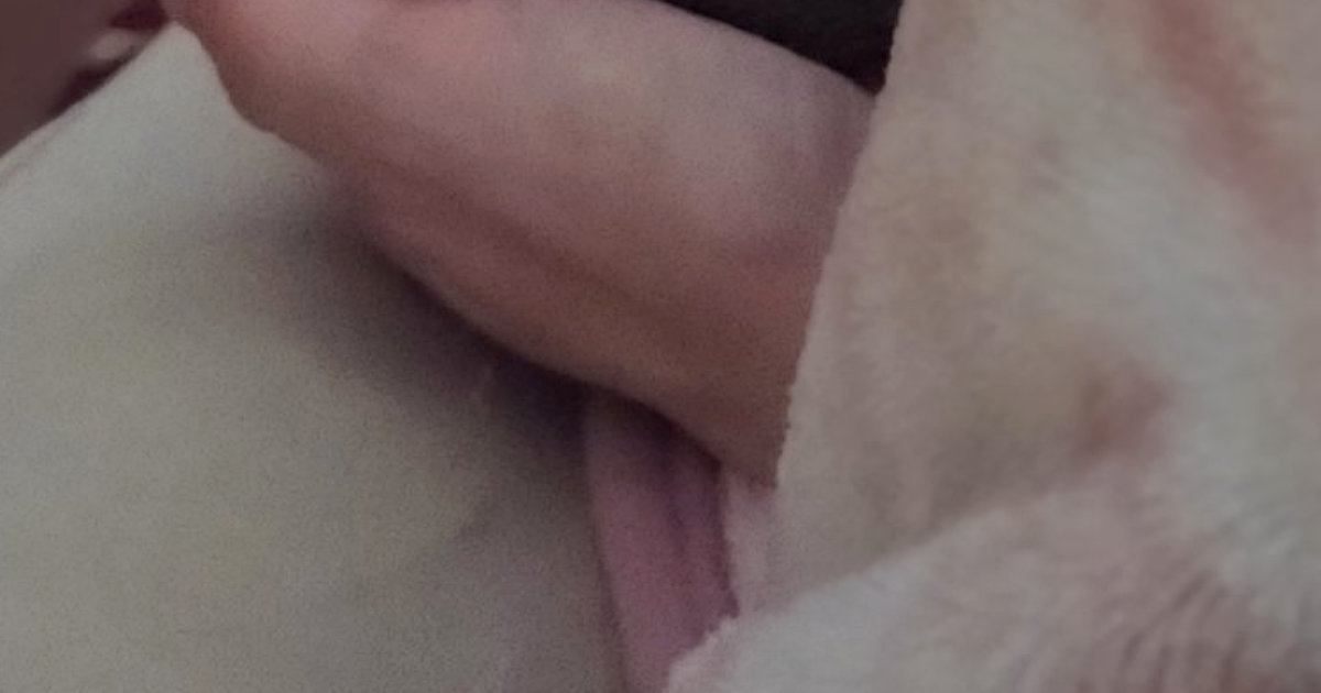 飼い主さんと一緒に寝るネコ→『おてて』を見ると……とんでもなく尊い光景に６万いいね「良い夢が見られそう」「うらやましすぎる」