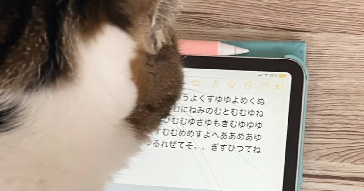 猫が真剣にタブレットを見ていると思ったら…暗号文を打ち込む『まさかの姿』が461万表示「ライバル会社に見られるかも…」「報告中？」