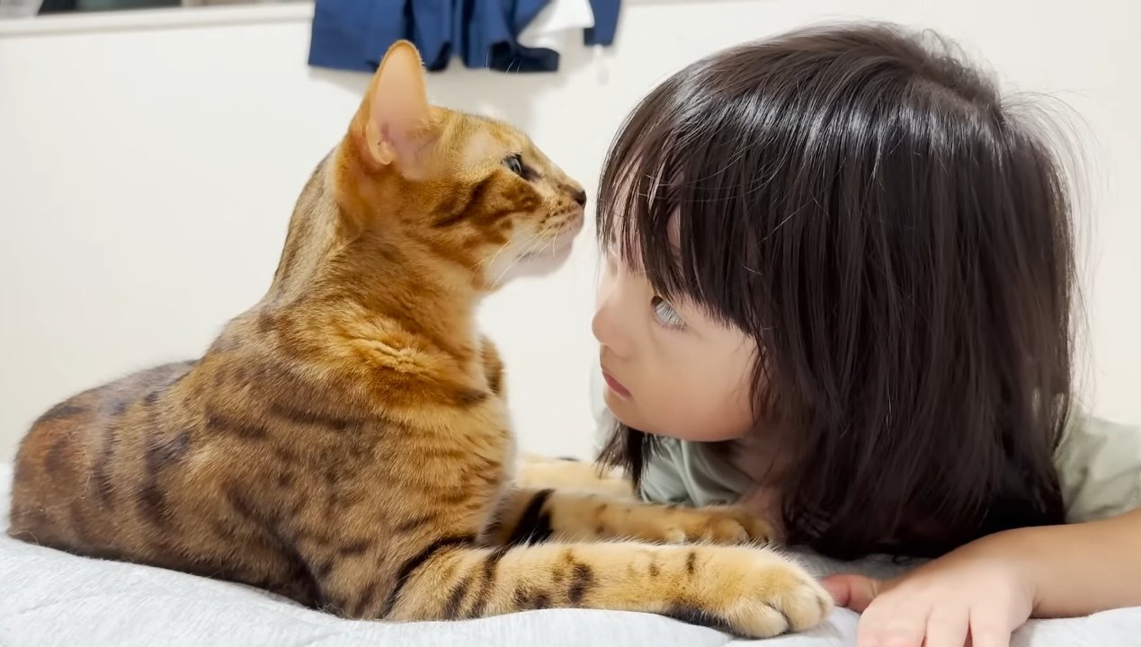 触ると噛みつく凶暴な猫に5歳の女の子が近づくと……素敵なやり取りの様子が癒やされると24万7000再生「信頼しているんだね」「可愛い」