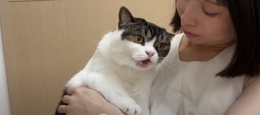 怒られて落ち込む猫くん。さらに落ち込む出来事が…！