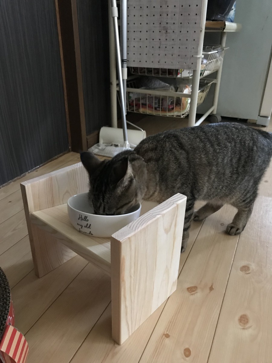 猫の餌台を手作りしてみよう！ホームセンターにある木材をカットしてお手軽DIY♪