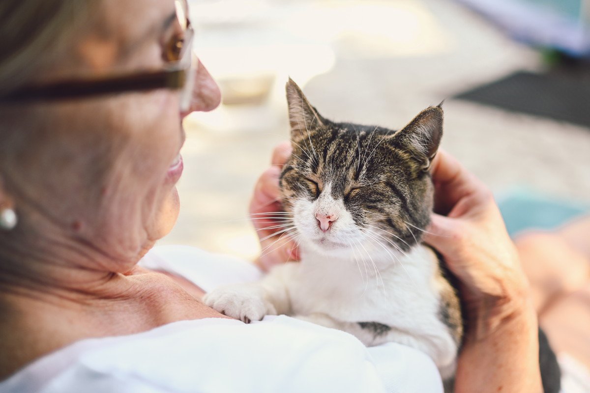 猫に『懐かれる人と懐かれない人』の違いを徹底調査！3つの違いと気を付けるべきポイントとは？