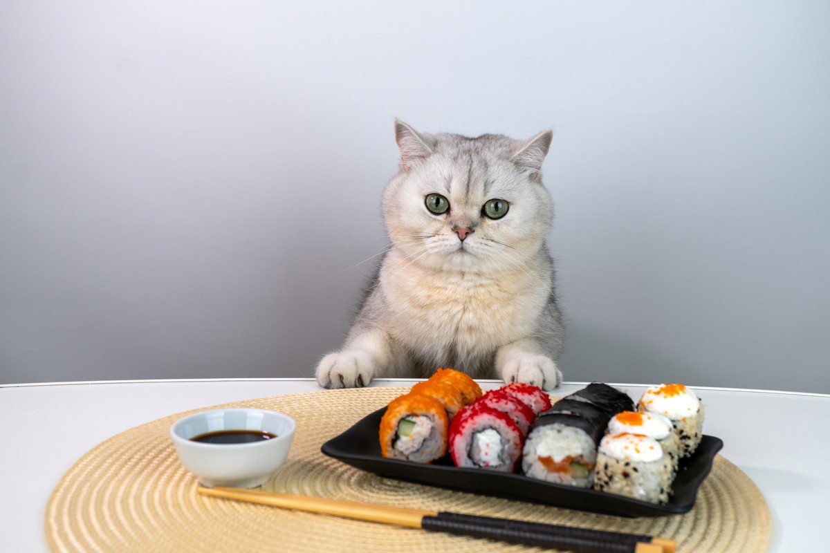 猫に食べさせてはいけない『冬の食べ物』5選　誤飲時に表れる症状から対処法まで解説