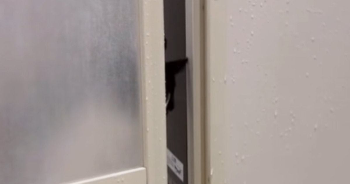 呼んでも来なかった猫→『泣き真似』をしてみると…『胸キュン必至』の瞬間が71万再生「優しい彼氏さんやな」「イケニャンすぎる」と絶賛