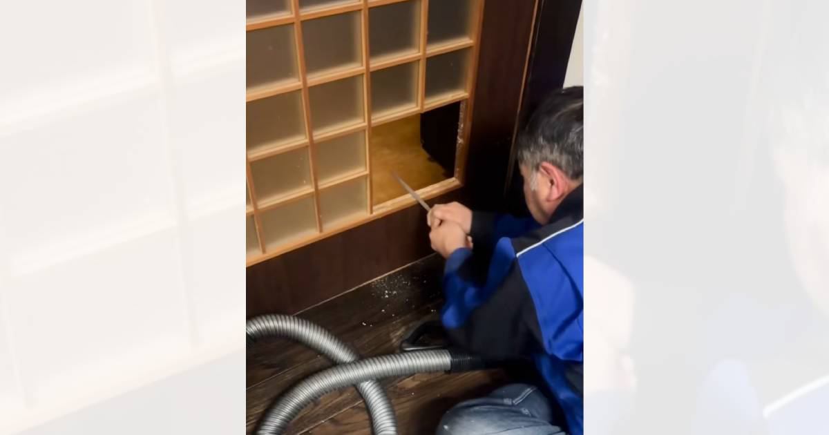 『猫を飼うのに反対だったお父さん』が…一緒に暮らし始めた結果→まさかの姿が149万再生「ニヤけてもうた」「丁寧な仕上げに涙がでそう」