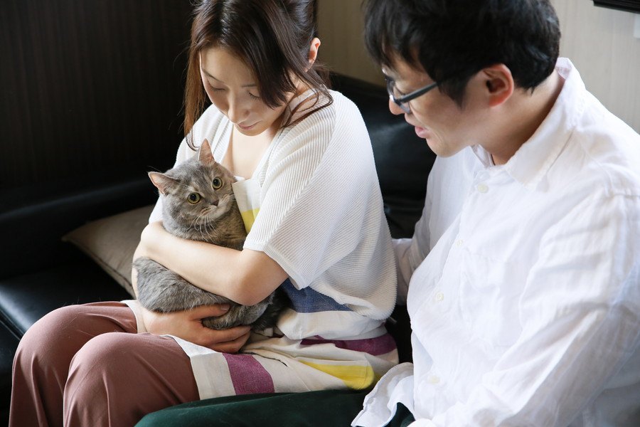 毎日のケアが大切！愛猫を長生きさせる5つの飼い方