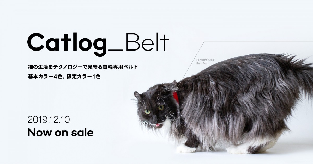 次世代の首輪！Catlog Pendantがベルトの単体販売を開始！