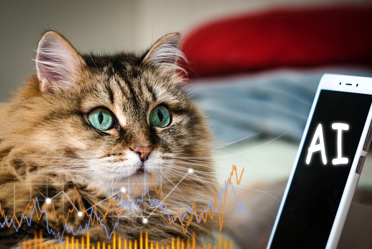 「愛猫の今の気持ちは？」AIが分析し、人間語に翻訳できる可能性が高まる　中国