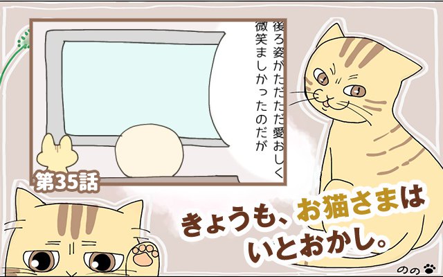 きょうも、お猫さまはいとをかし。【第35話】「切実な悩み」