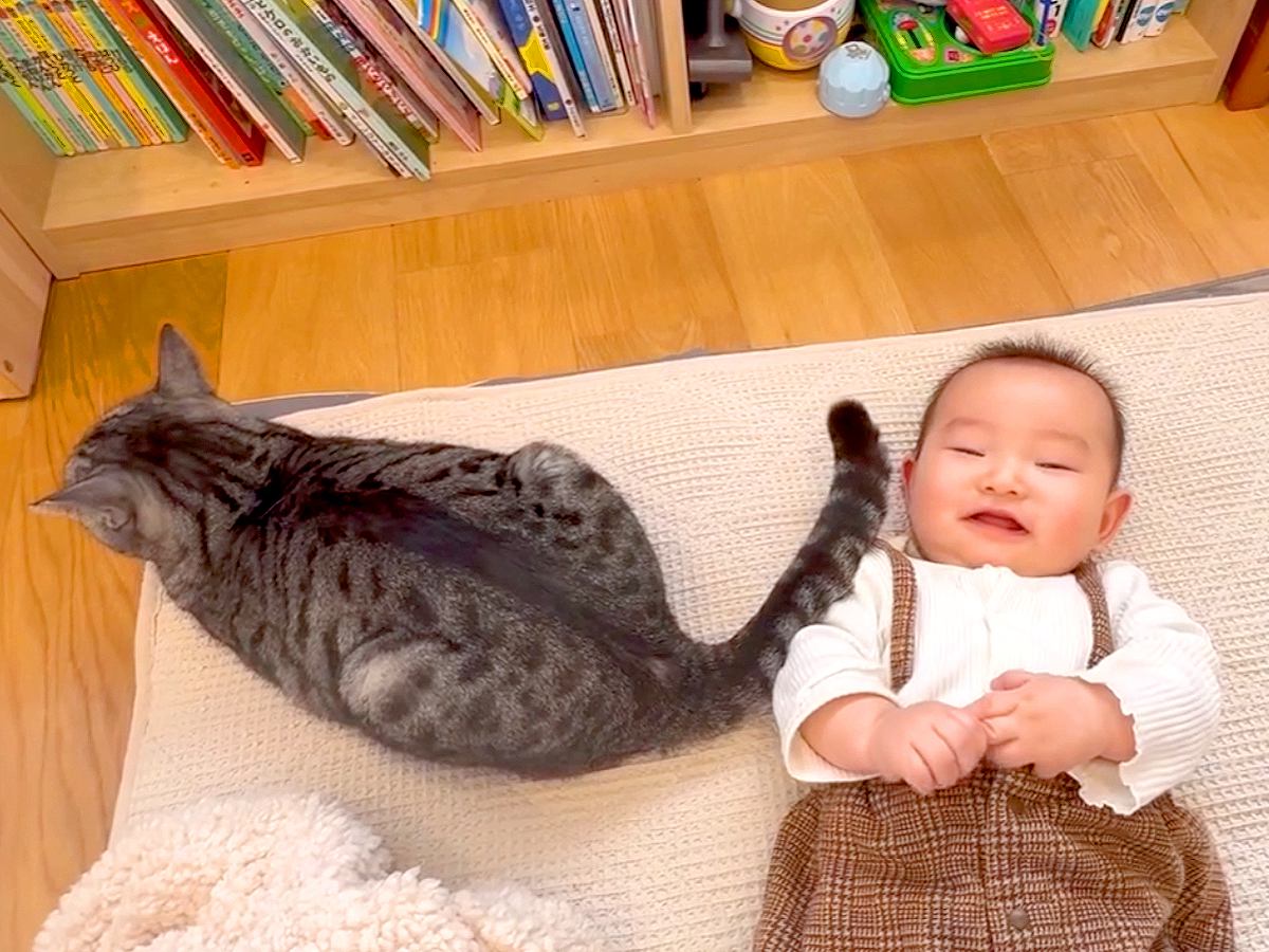 床に寝転ぶ赤ちゃん→元保護猫が『しっぽ』を使って…涙が出るほど尊い『家族愛にあふれた光景』に「距離感がベスト」「優しい」と称賛の声
