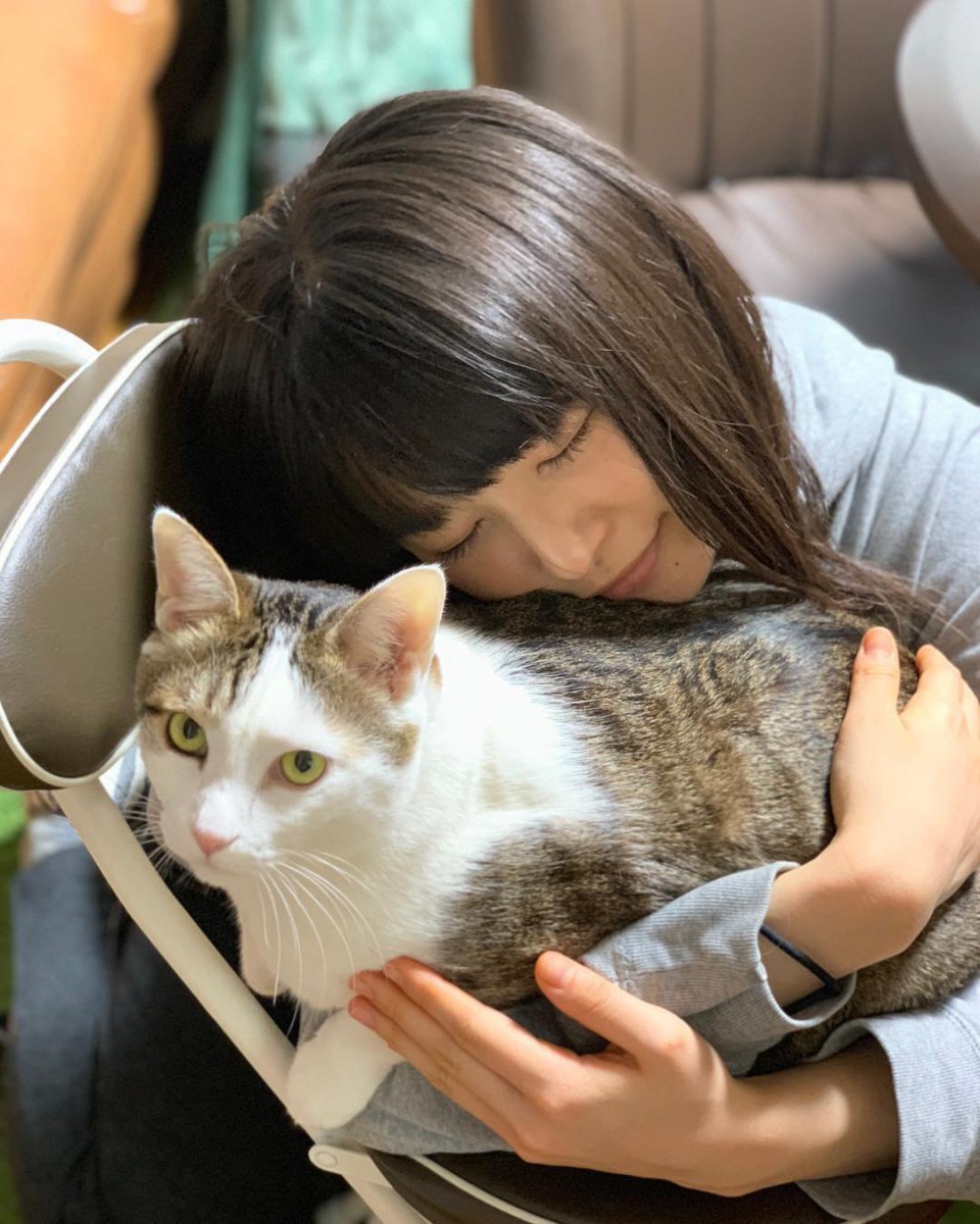 桜井日奈子さんも猫を飼ってた！名前や品種、画像などを紹介