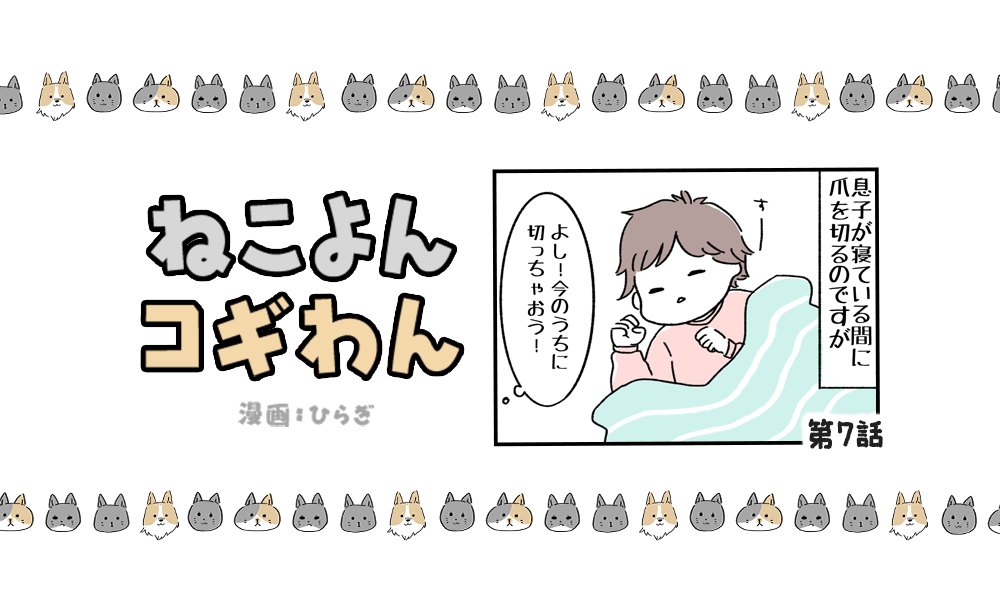 ねこよんコギわん【第7話】「えっ爪切って欲しいの？」