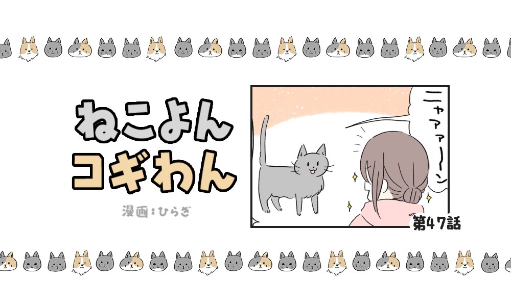 ねこよんコギわん【第47話】「ヒザに乗るのは嫌」