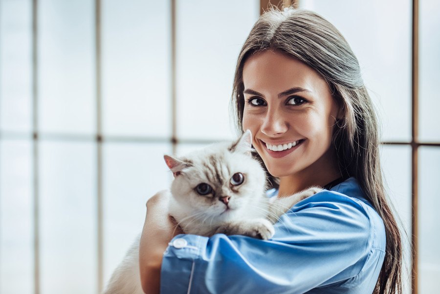 私が考える愛猫と飼い主の『理想のカタチ』