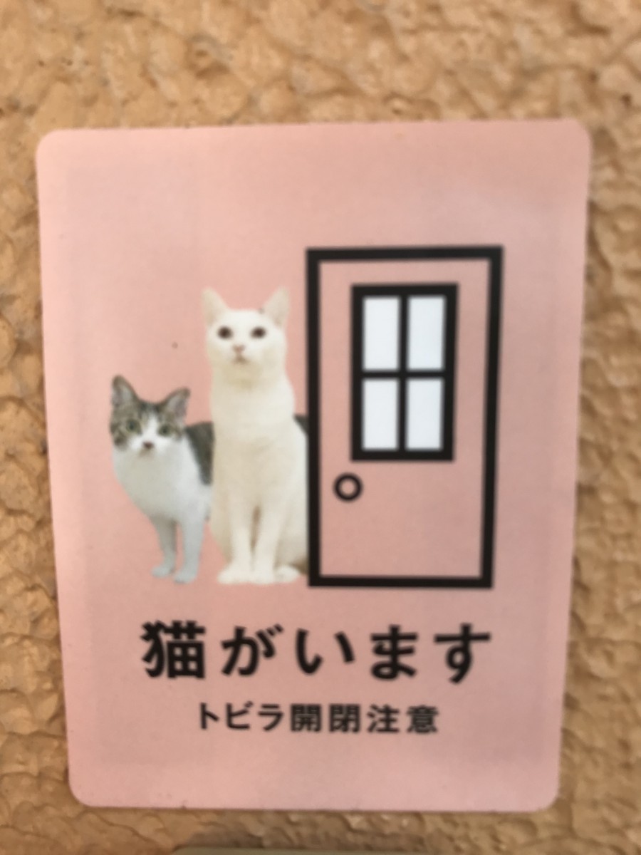 玄関に付けて、脱走防止に一役！『猫が居ますシール』