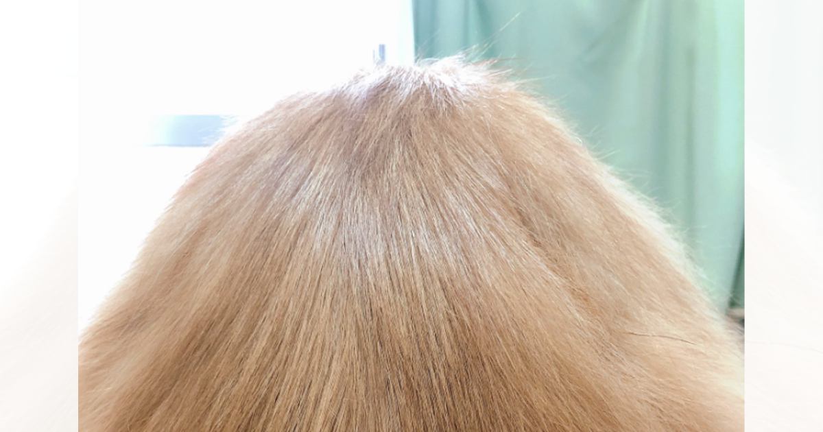 『サラッサラのカツラ』かと思ったら…騙される人が続出の『驚きの正体』が61万表示「ウィッグにしか見えないｗ」「人間の頭部かとｗ」