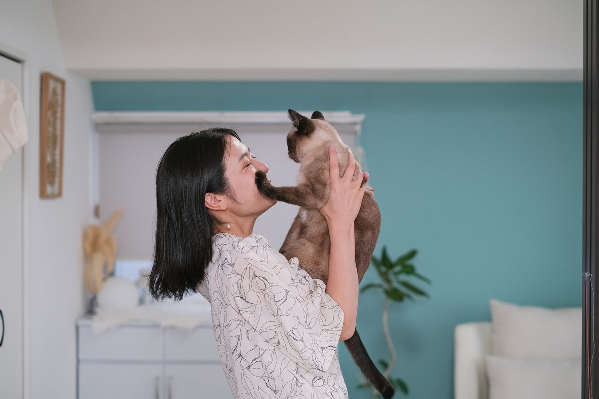 猫が『触れないでほしい』と思っているときのサイン3つ　拒んでくる心理や上手な接し方まで