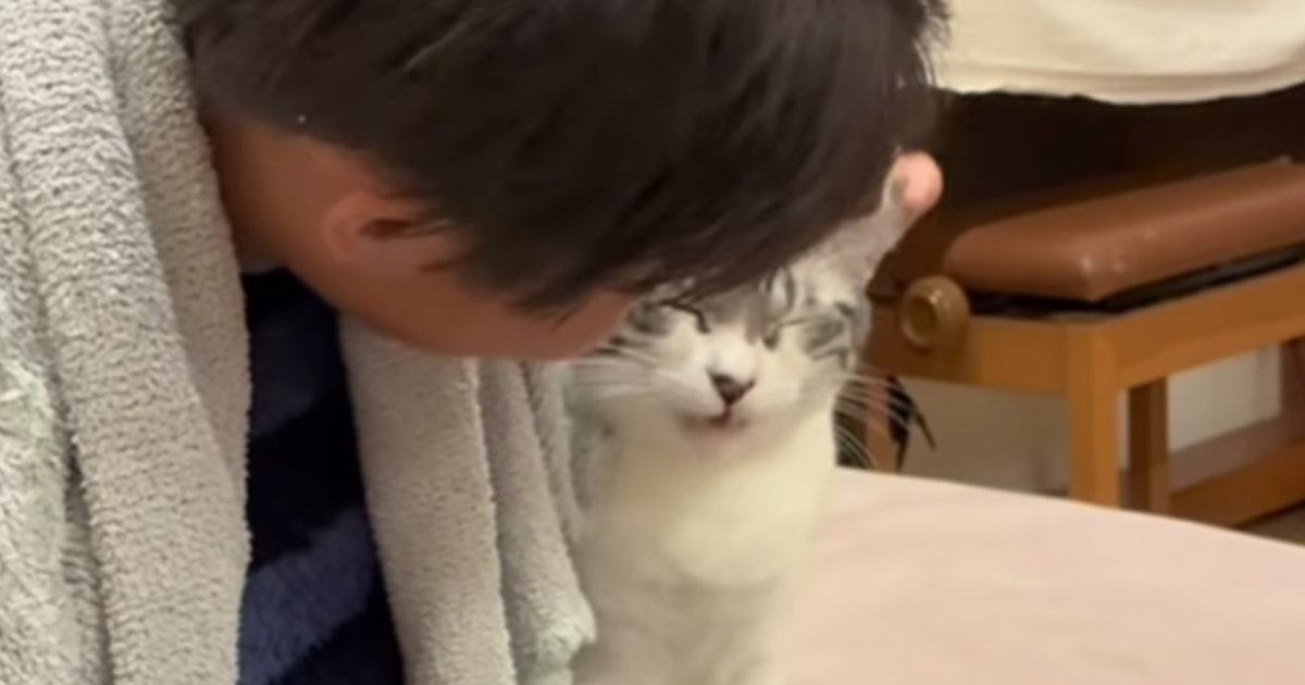 長男にだけ『特別な甘え方』をする猫…まるで恋人同士のような『尊すぎるやり取り』が68万再生「もう彼女ｗ」「大好きが溢れてるねｗ」