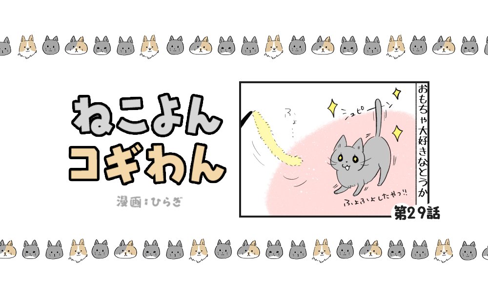 ねこよんコギわん【第29話】「こんなんでもいいの？」