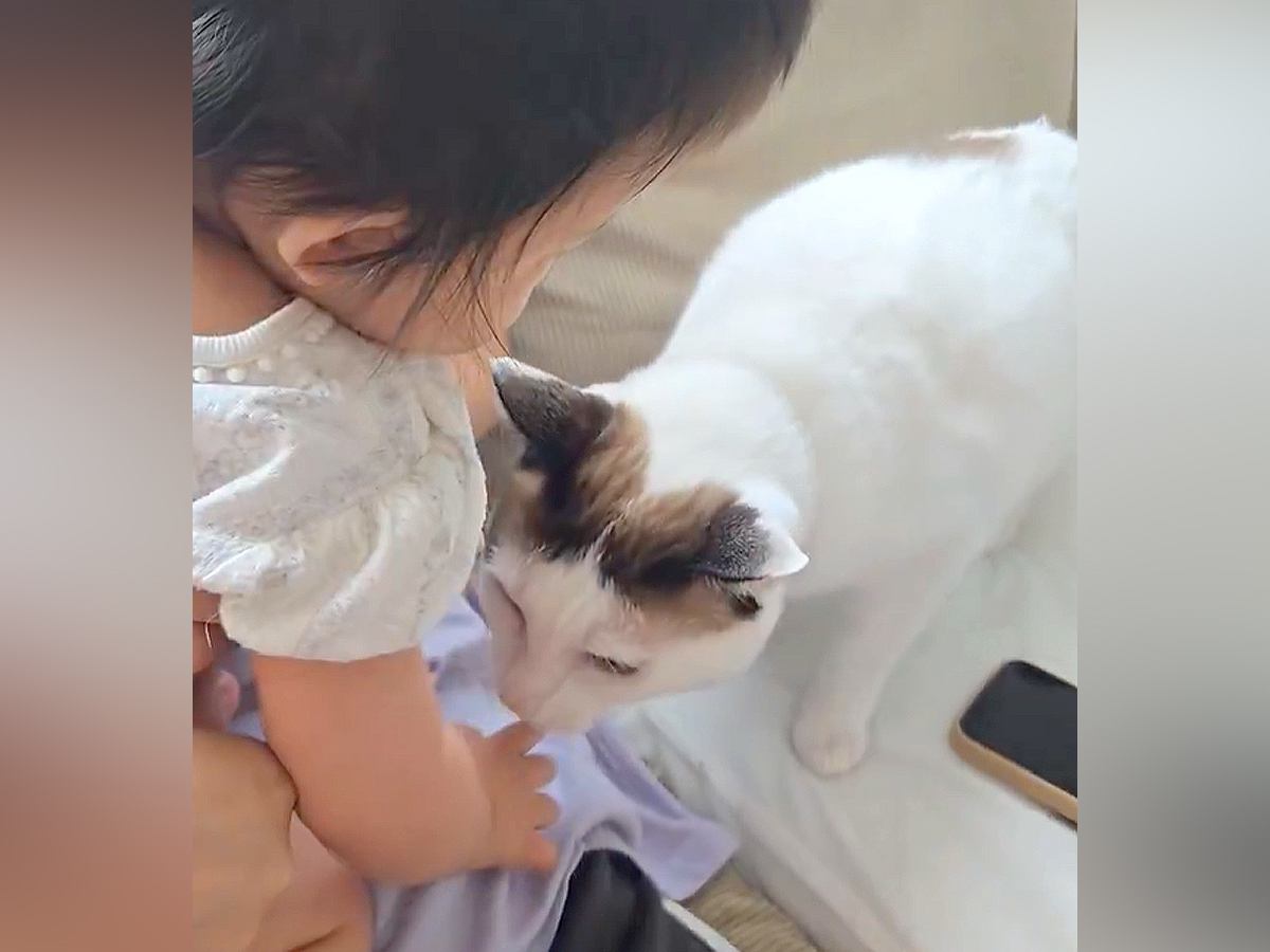 0歳の赤ちゃんに近づいて行った猫が、次の瞬間…まさかの『尊すぎる光景』に９万いいねの大反響「保育士ならぬ保育猫」「わぁ優しい世界」