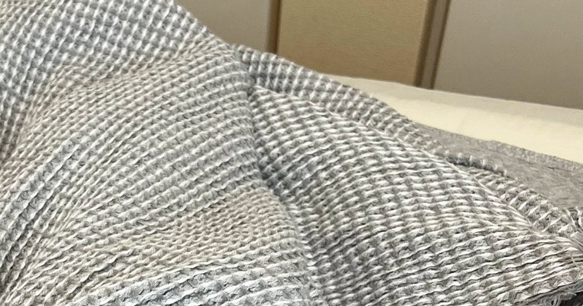 暑い日にエアコンの効いた部屋で猫が…まるで人間のような『夏の過ごし方』が可愛すぎると4万いいね「気持ちいいよねー」「うちの息子も同じ」