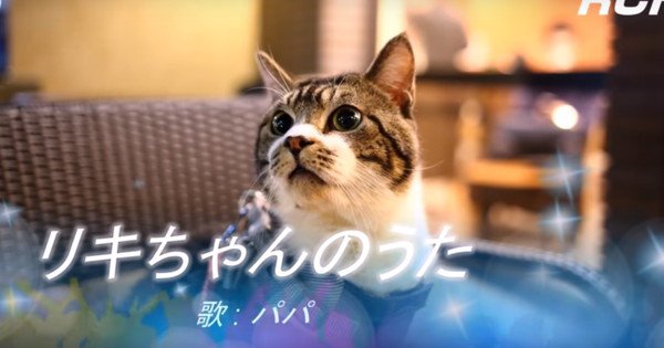 猫ちゃんパロディで空耳アワー♪