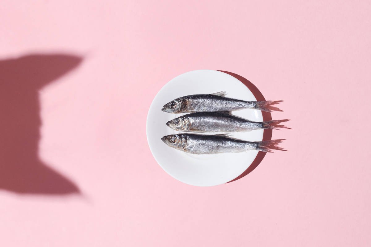 猫には絶対に与えてはいけない『要注意な魚介類』4種　猫＝魚好きと安易に考えては危険！