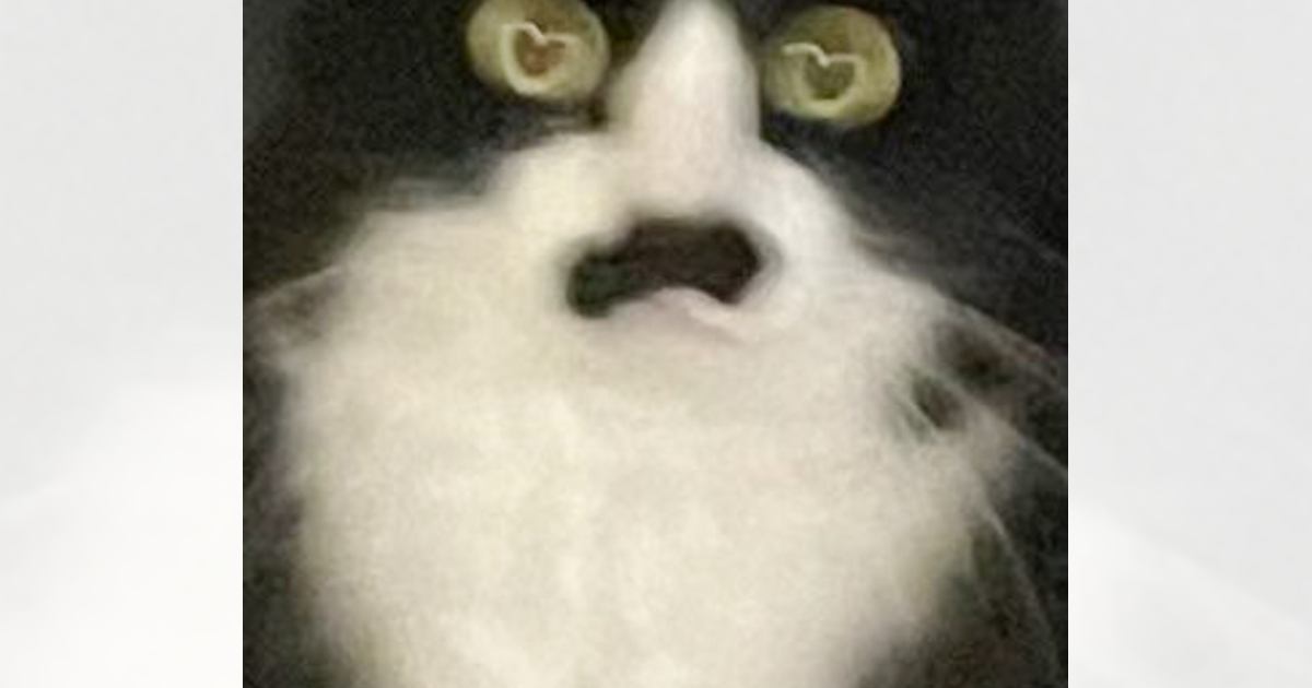 猫を撮ったら『手ブレ』が奇跡を起こして…瞳を見てみると→まさかの模様が可愛すぎると10万表示「愛し合っているからね」「素敵」