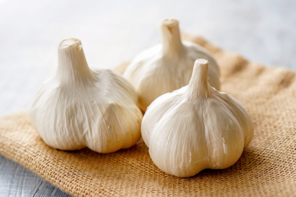 【獣医師監修】猫にニンニクを与えるのは絶対NG！危険な理由と中毒症状、致死量から誤食時の対処法まで徹底解説