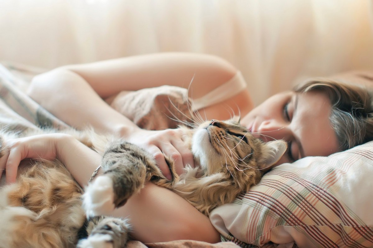 猫に『一緒に寝たいと思わせる人』の特徴4選！「好き」以外に必要なこととは