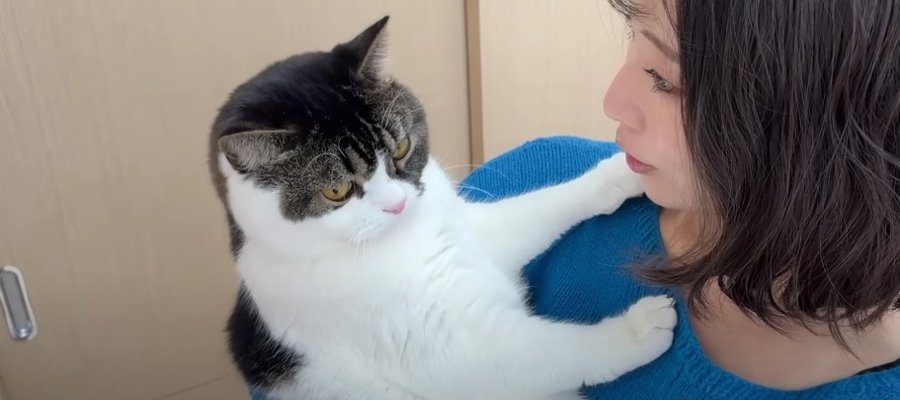 『本当にママ？』美容院から帰ってきたママさんを拒絶しちゃう親子猫くん