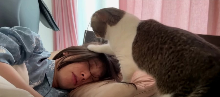 『起きてニャ！』早朝に飼い主さんを起こす猫くん。その理由とは…？