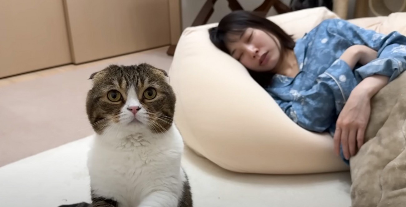 『全然起きないママ』→どうしても起こしたい猫が…賢すぎる『まさかの方法』に反響「かわいいｗ」「やり取りにほっこりした」と7万7000再生