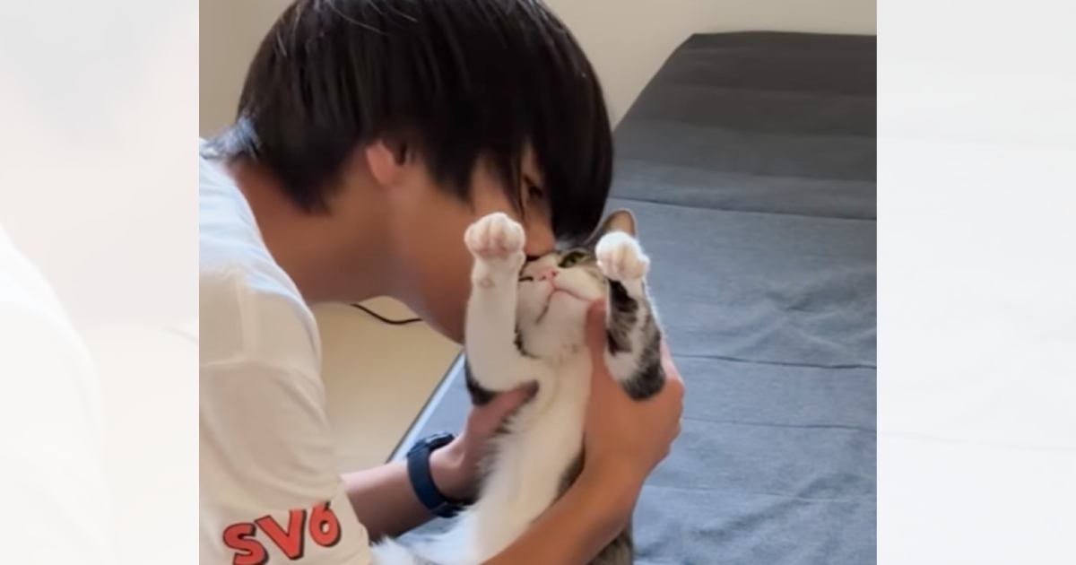 横になってくつろいでいた猫のもとに息子が近づいていくと…『されるがままな光景』が可愛すぎると104万再生「愛されてる」「癒された」