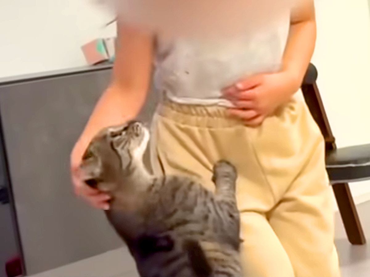 一緒に遊ぶ６歳の女の子と猫→まるで本当の姉妹のようで…あまりにも尊い『種族を超えた愛』が23万再生「さすが前世姉妹」「かわいすぎて悶絶」