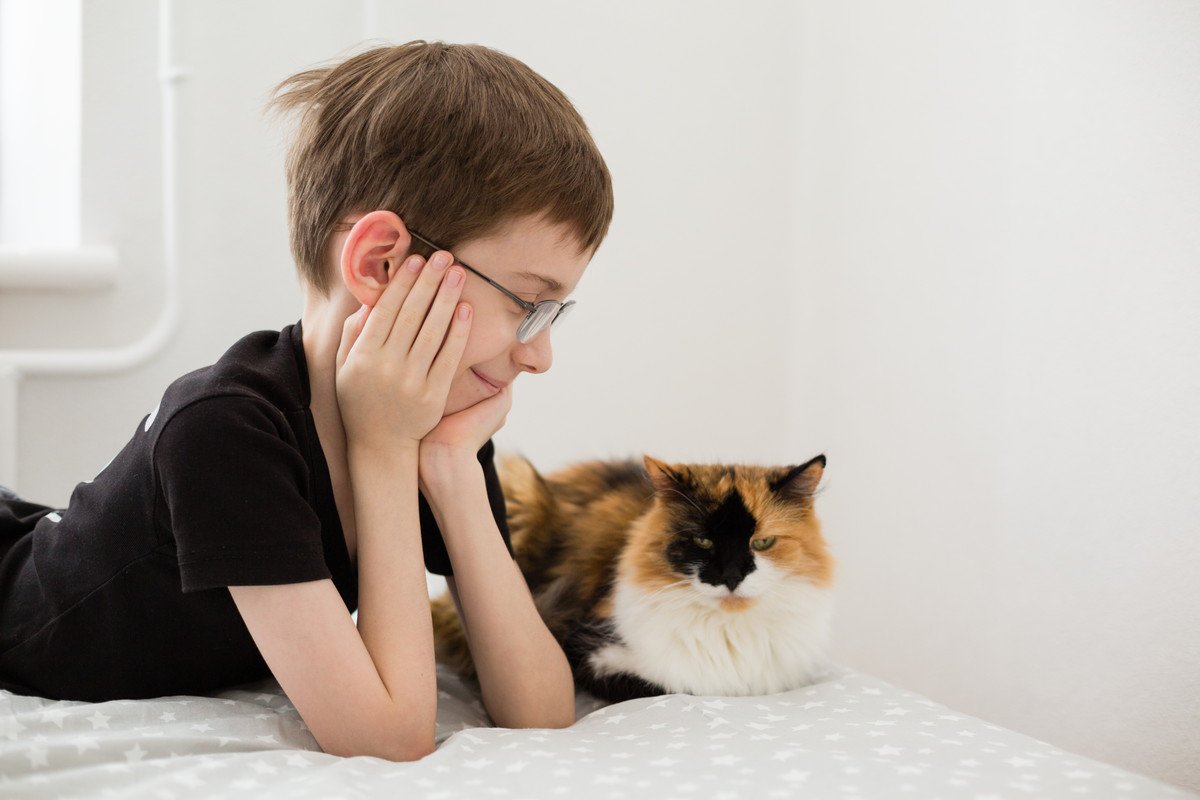 猫との『距離を取ったほうがいい』5つのタイミング　近付いてはいけない理由や適切な接し方まで