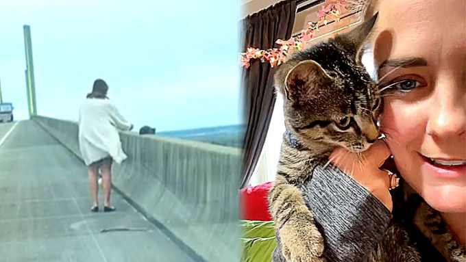 鳥に狙われる橋の上の子猫……温かい家族に囲まれ幸せに♡